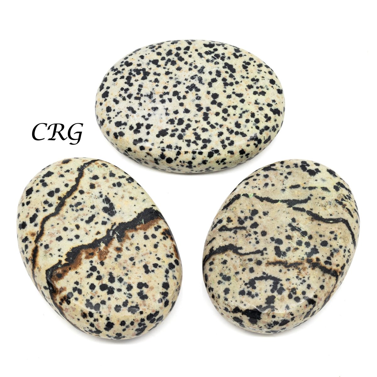 QTY 1 - Dalmatian Jasper Palm Stone / 2" Avg