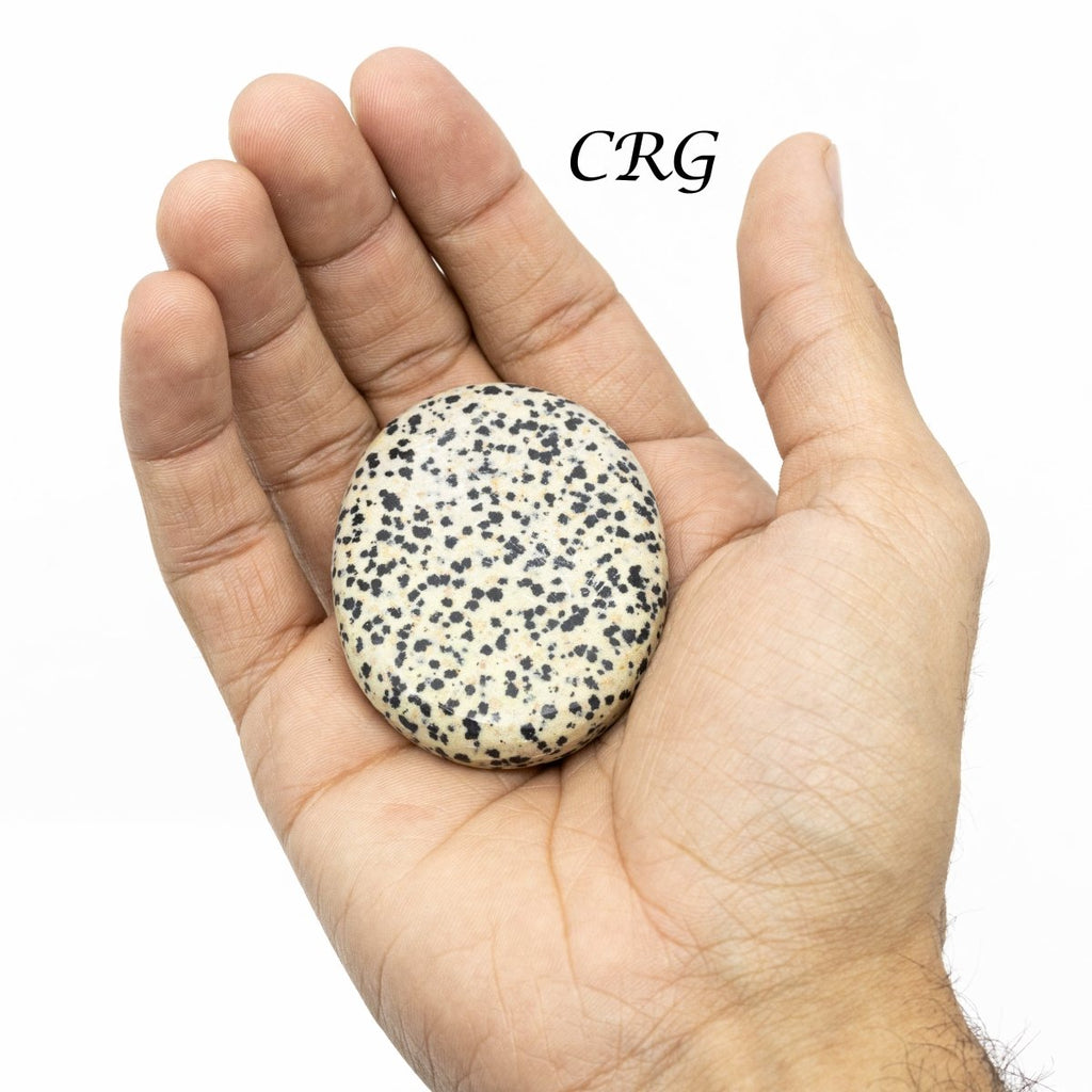 QTY 1 - Dalmatian Jasper Palm Stone / 2" Avg