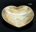 QTY 1 - Fossilized Coral Heart Dish / 12-17cm AVG