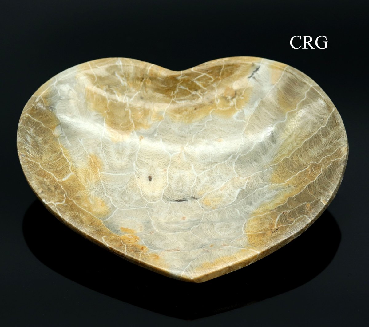 QTY 1 - Fossilized Coral Heart Dish / 12-17cm AVG