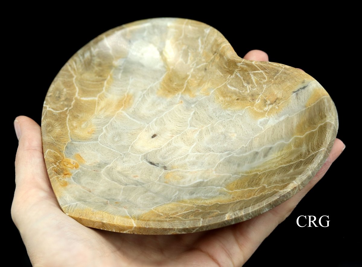 QTY 1 - Fossilized Coral Heart Dish / 12-17cm AVG