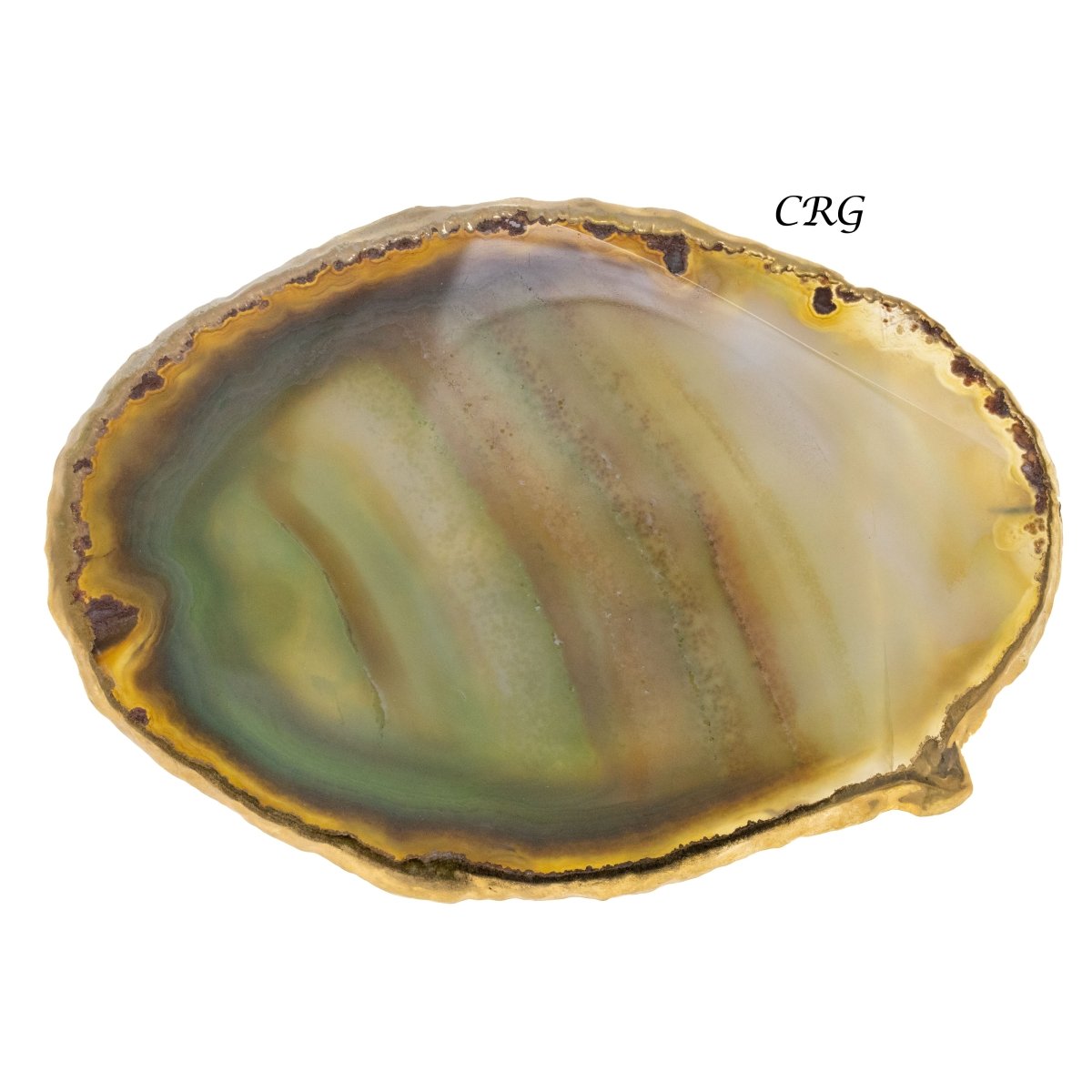 QTY 1 - Green Gold Plated Agate Slice / #4 / 4-4.5"