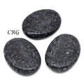 QTY 1 - Indigo Gabbro Palm Stone / 2" Avg