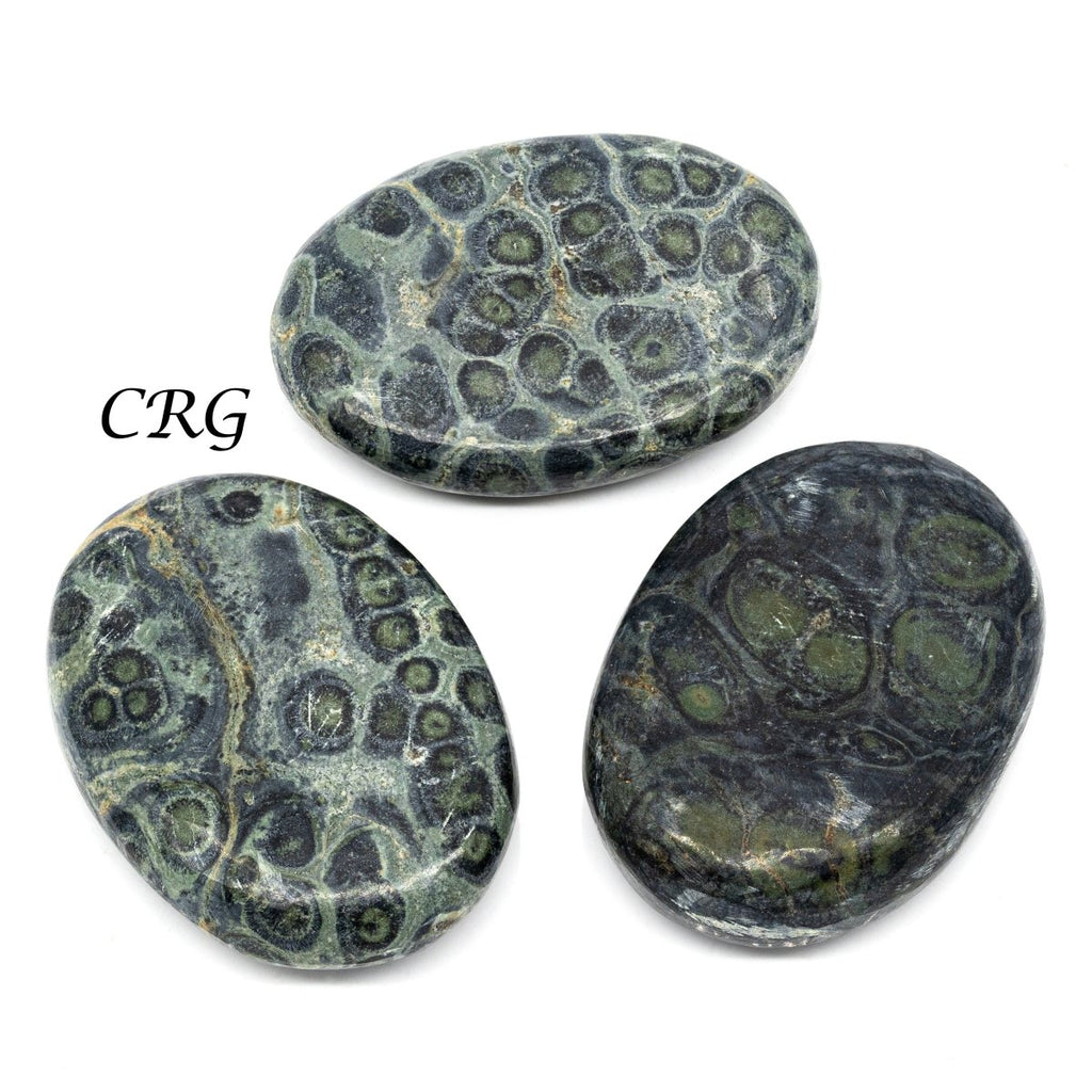 QTY 1 - Kambaba Jasper Palm Stone / 2" Avg