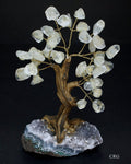 QTY 1 - Medium Brazilian Clear Quartz Tree w/Crystal Base (4.5"-5.5")