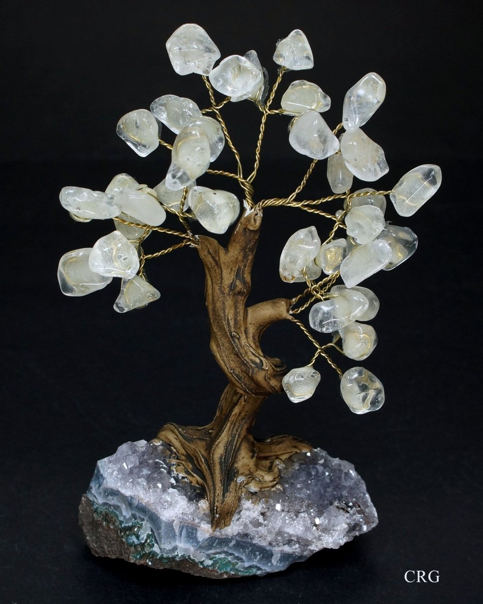 QTY 1 - Medium Brazilian Clear Quartz Tree w/Crystal Base (4.5"-5.5")