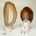 QTY 1 - Natural Agate Nightlight with Bulb and Switch