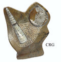 QTY 1 - Orthoceras and Ammonite Fossil Sculpture / 5-6" AVG
