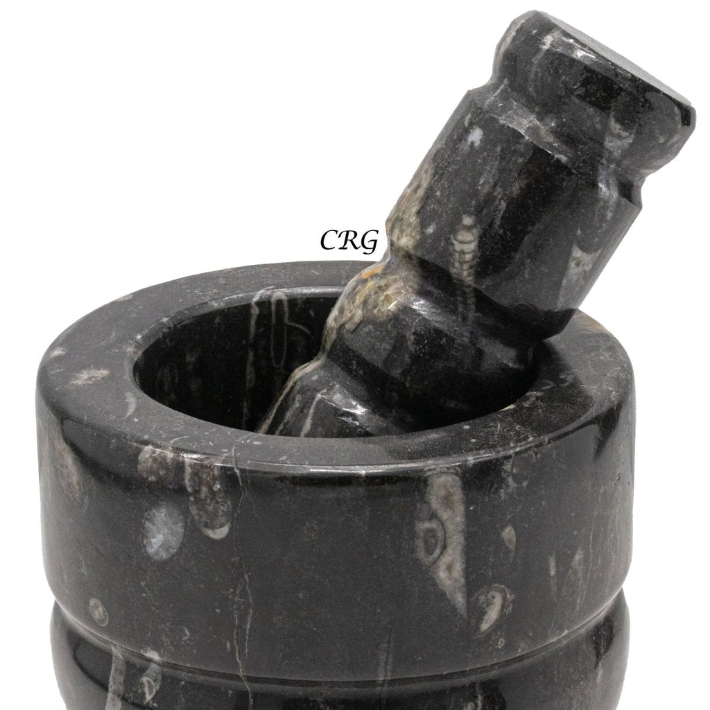 Orthoceras Fossil Stone Mortar & Pestle (1 Piece)