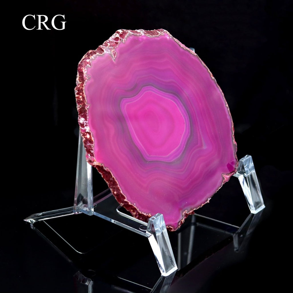 QTY 1 - Plastic Slab Stands - Large 5.75" x 5"