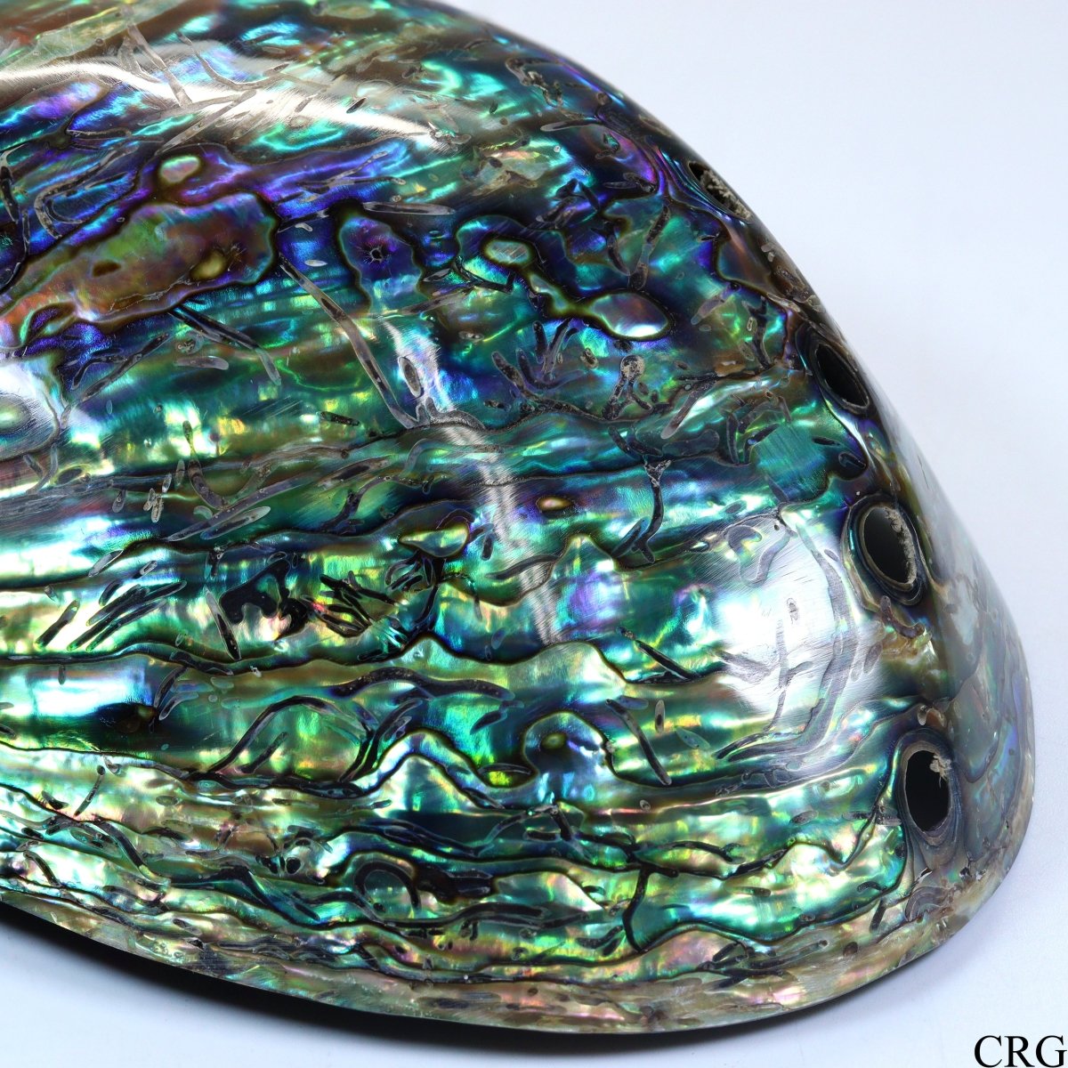 Polished Rainbow Abalone "Paua" Shell Dish - 4.5" - QTY 1