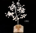 QTY 1 - Rose Quartz 100 Chip Tree with Orgonite Pyramid Base / 7.5" AVG