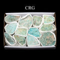 Amazonite Rough Boxed Flat (12 Piece Flat) (1 To 2 Inches) Bulk Wholesale Crystals Minerals Gemstones