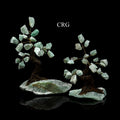 QTY 1 - Rough Green Quartz Gemstone Tree / 4-5" AVG