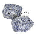 Rough Sodalite Card & Pen Holder - 3"-3.25" - QTY 1