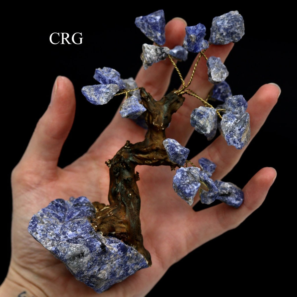 QTY 1 - Rough Sodalite Gemstone Tree / 4-5" AVG