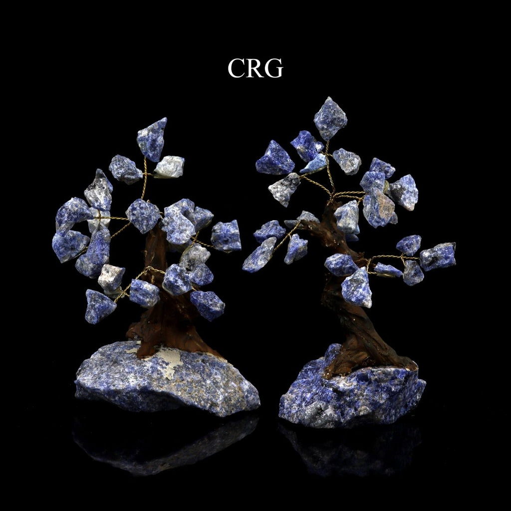QTY 1 - Rough Sodalite Gemstone Tree / 4-5" AVG