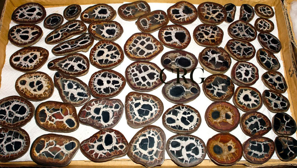 Septarian Calcite Nodules Cabochon Pair from Morocco (12-20mm)