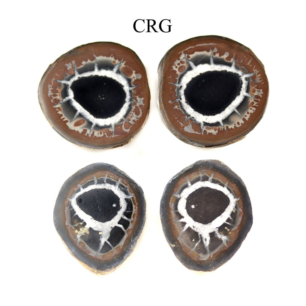 Septarian Calcite Nodules Cabochon Pair from Morocco (12-20mm)