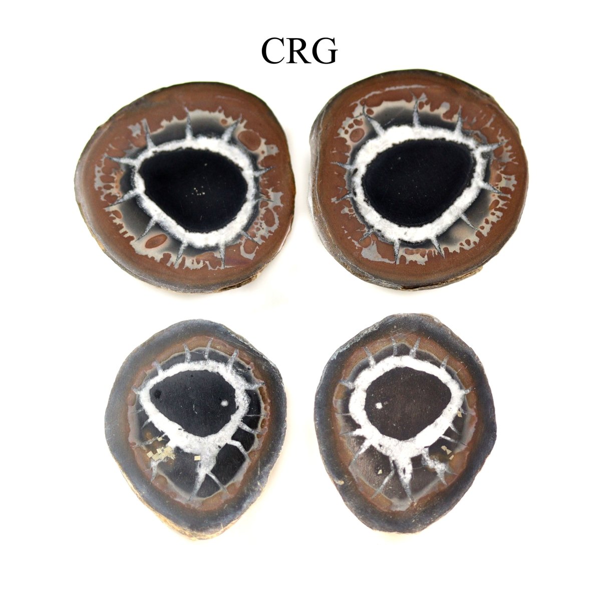 Septarian Calcite Nodules Cabochon Pair from Morocco (12-20mm)