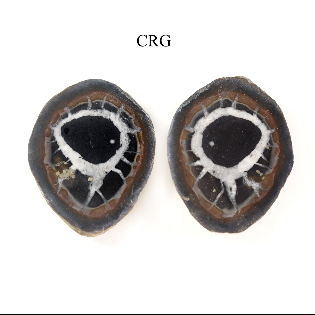Septarian Calcite Nodules Cabochon Pair from Morocco (12-20mm)