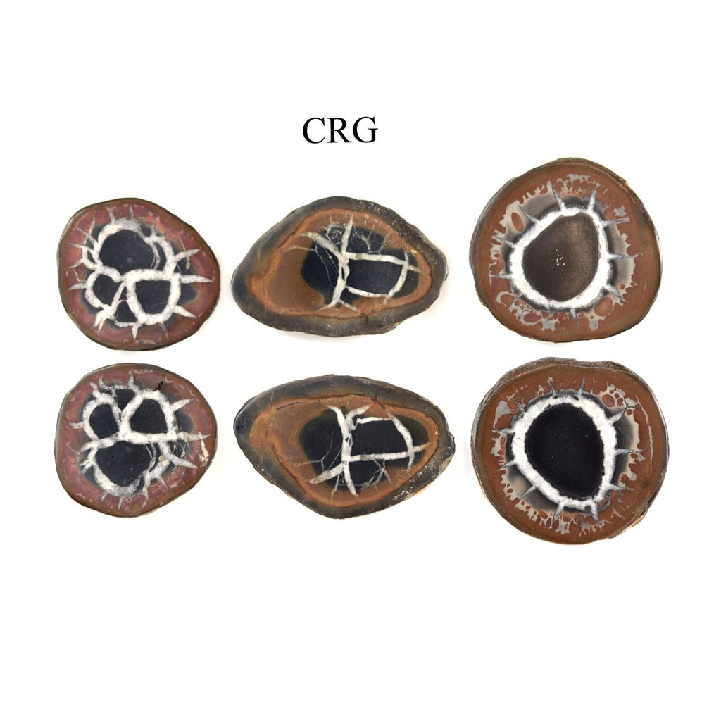 Septarian Calcite Nodules Cabochon Pair from Morocco (12-20mm)