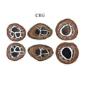 Septarian Calcite Nodules Cabochon Pair from Morocco (12-20mm)