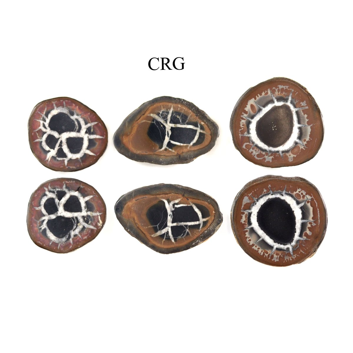 Septarian Calcite Nodules Cabochon Pair from Morocco (12-20mm)