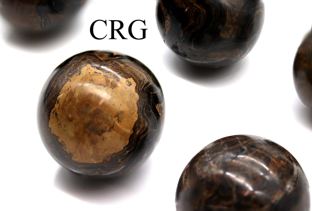 QTY 1 - Stromatolite Sphere / 35-45mm AVG