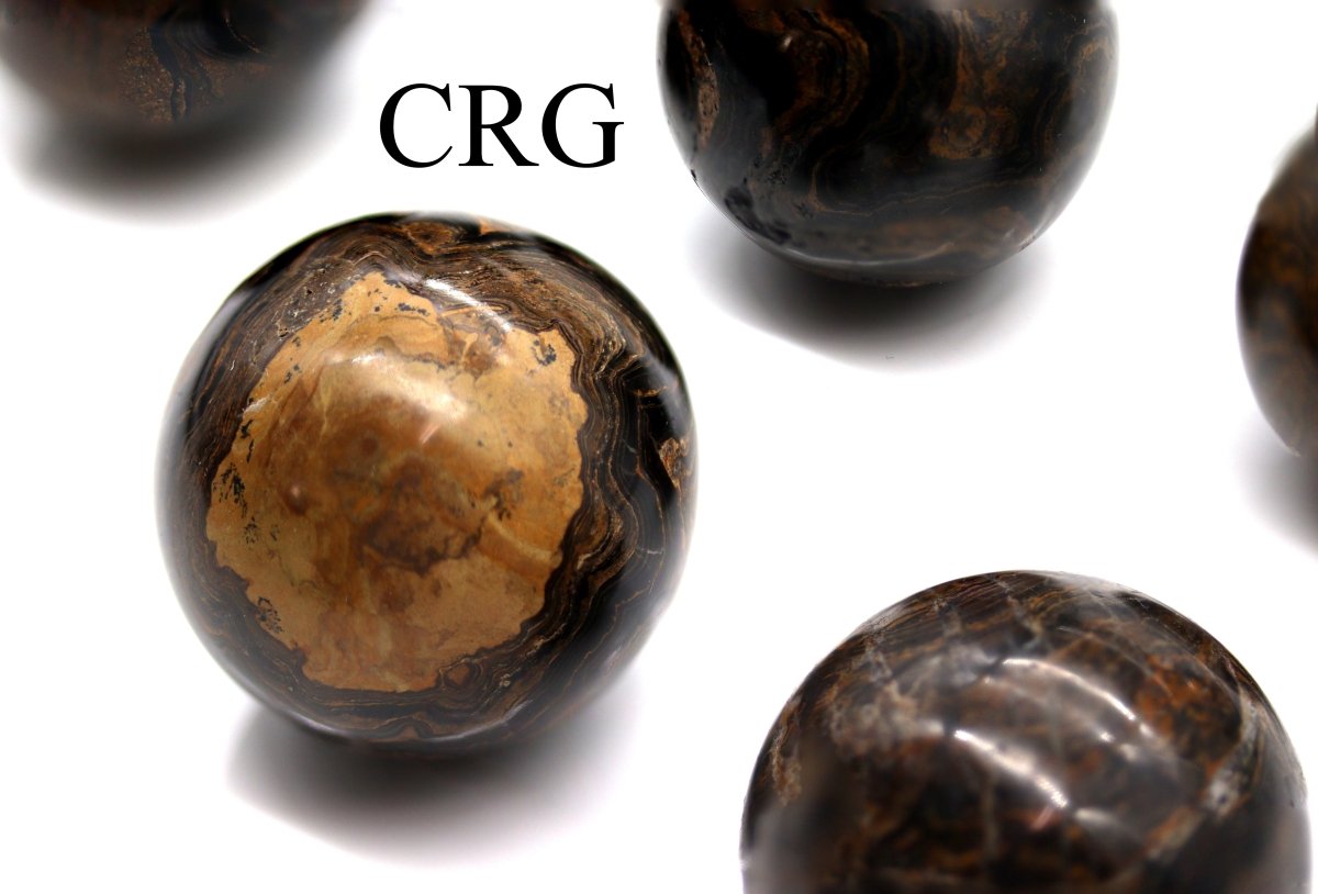 QTY 1 - Stromatolite Sphere / 35-45mm AVG