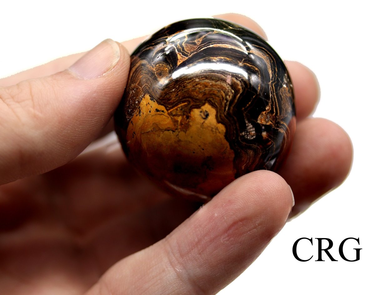 QTY 1 - Stromatolite Sphere / 35-45mm AVG