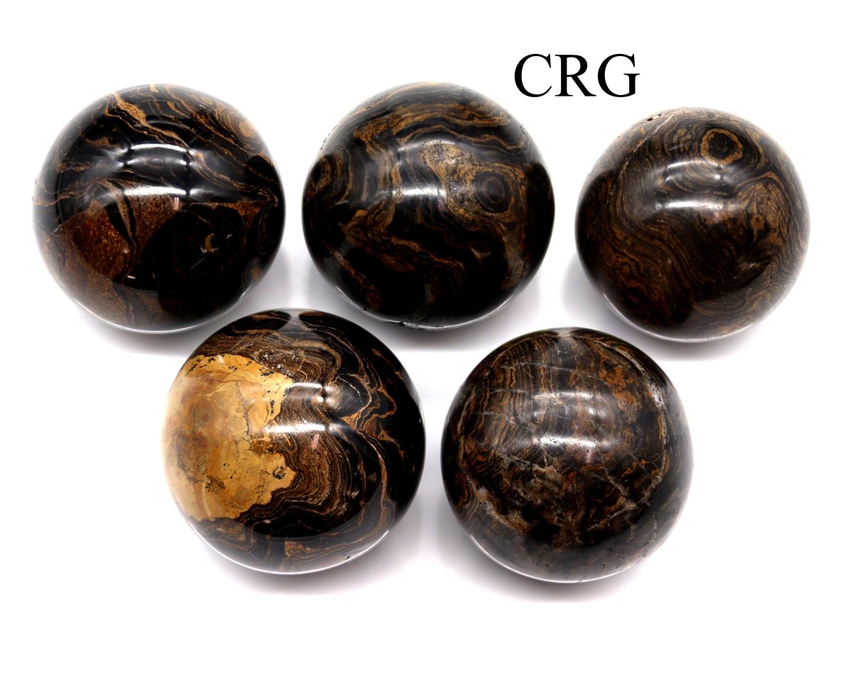 QTY 1 - Stromatolite Sphere / 35-45mm AVG