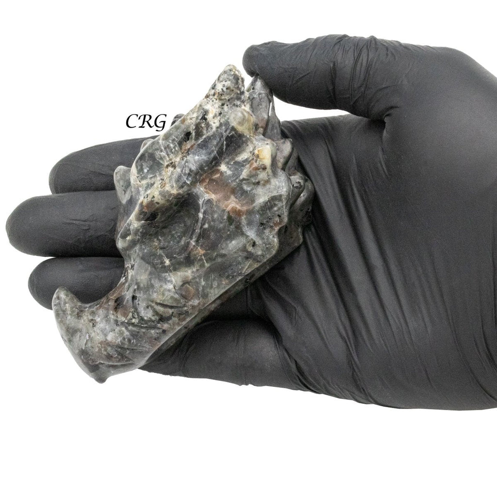 Syenite Dragon Skull (1 Piece)