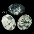 QTY 1 - Tree Agate Palm Stone / 2" Avg