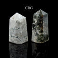 QTY 1 - Tree Agate Point from India / 3-5" Avg