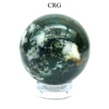 Tree and Moss Agate Gemstone Sphere / 40-50mm AVG