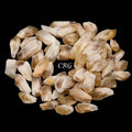 Raw Citrine Points / 1-2.5" AVG - 1 KILO LOT