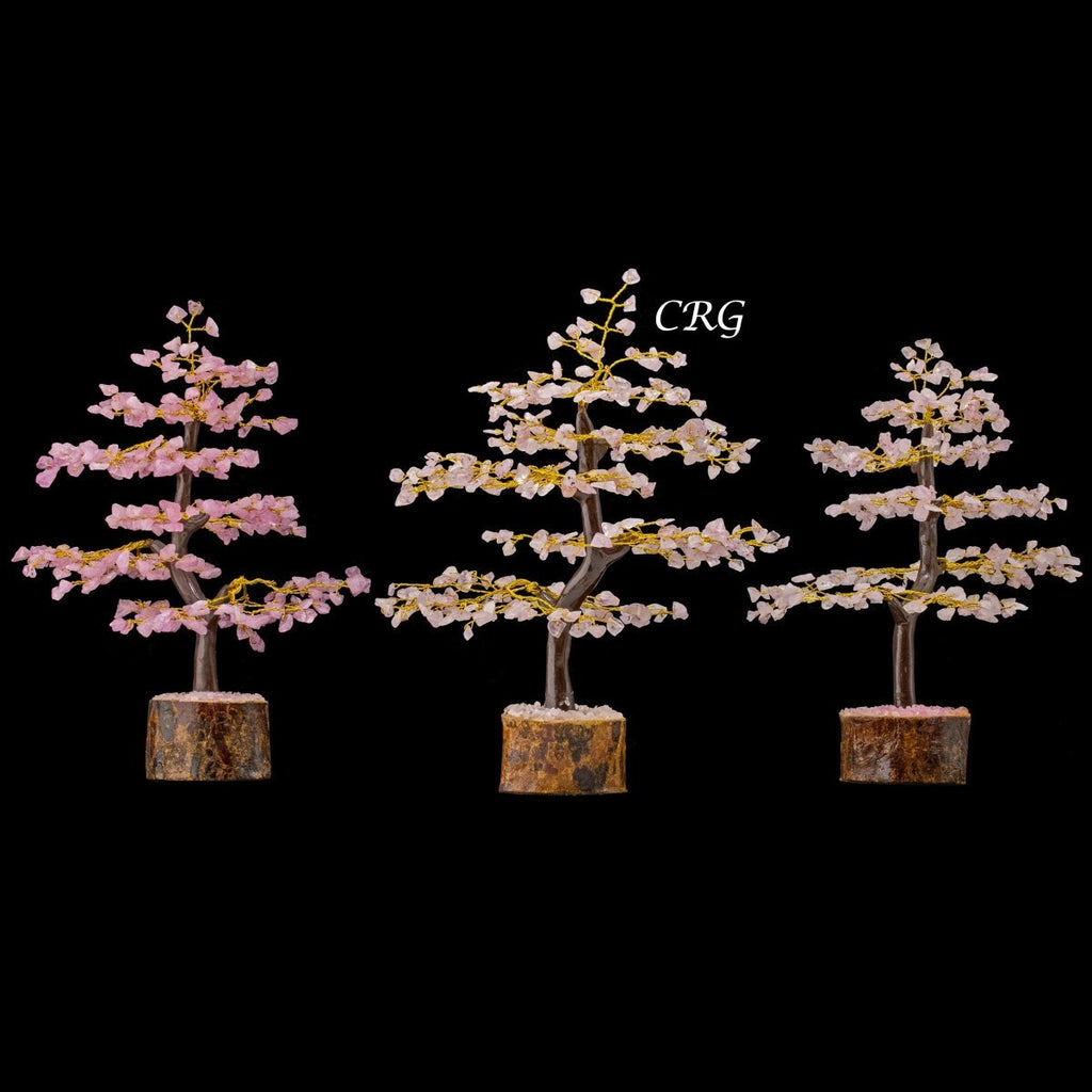 Rose Quartz 300 Chip Tree with Wood Base and Gold Wire (1 Piece) Size 9 Inches Crystal Gemstone Tree