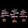 Rose Quartz 300 Chip Tree with Wood Base and Silver Wire (1 Piece) Size 9 Inches Crystal Gemstone Tree