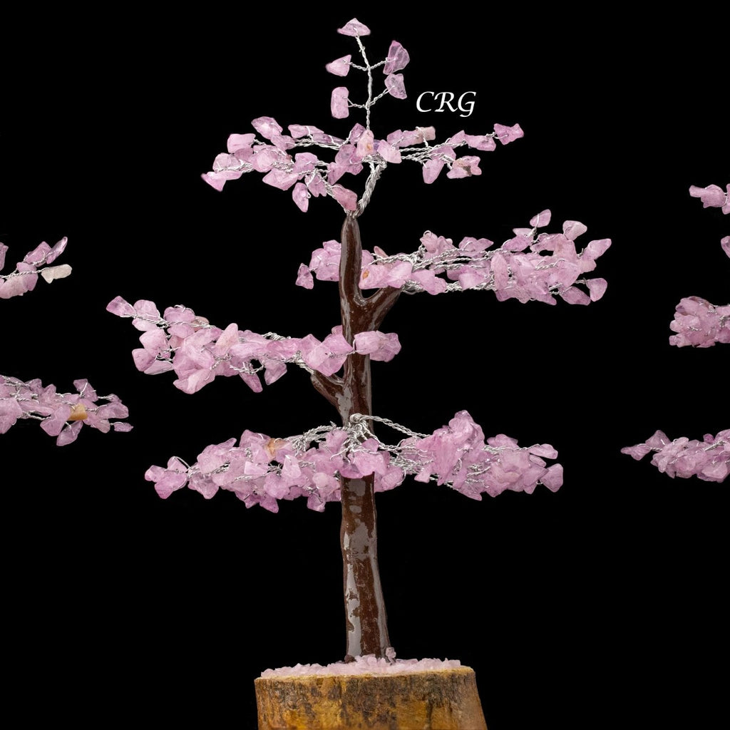 Rose Quartz 300 Chip Tree with Wood Base and Silver Wire (1 Piece) Size 9 Inches Crystal Gemstone Tree