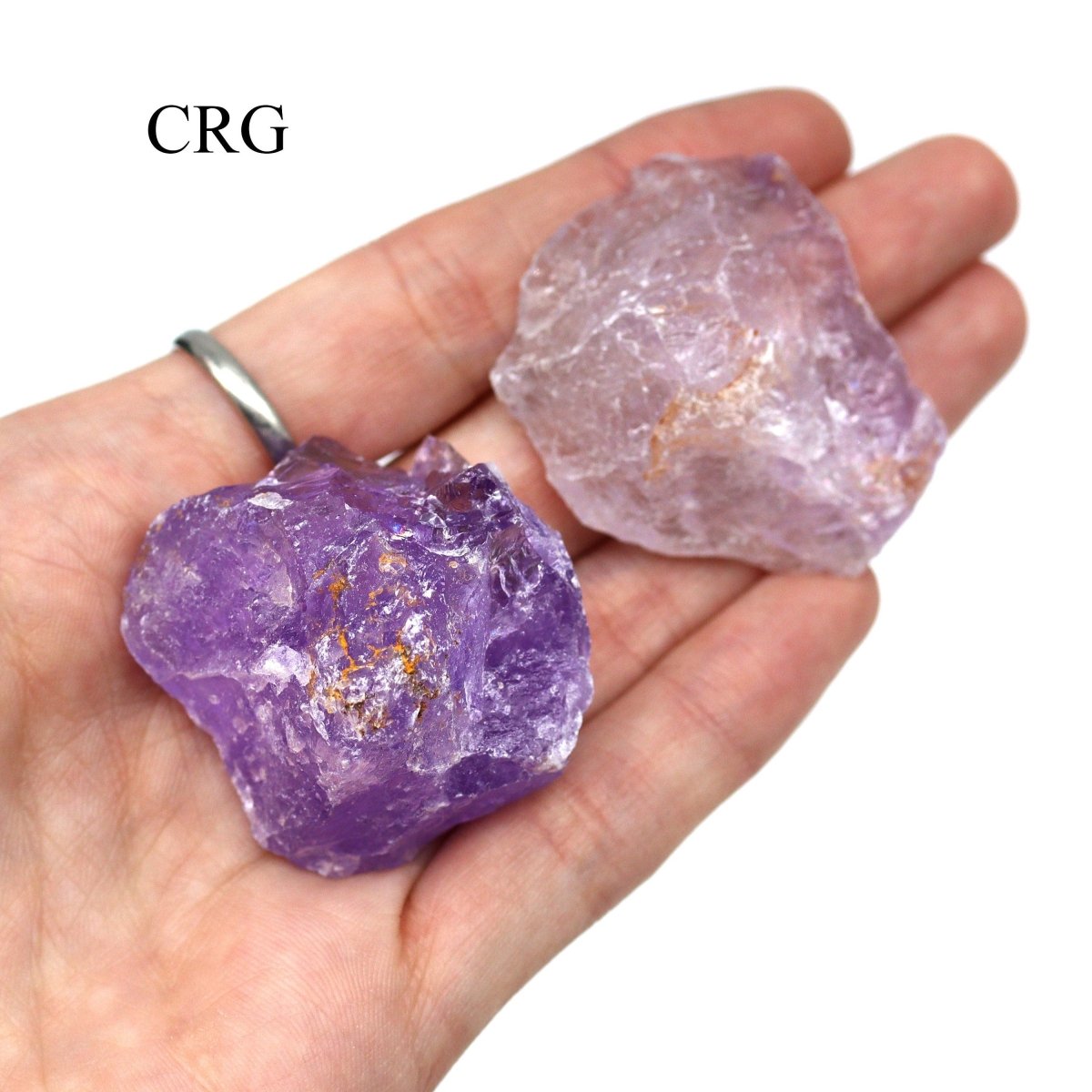 Rough Bolivian Amethyst Boxed Flat (24 Pieces) (1 to 1.5 Inches) Bulk Wholesale Crystals Minerals Gemstones
