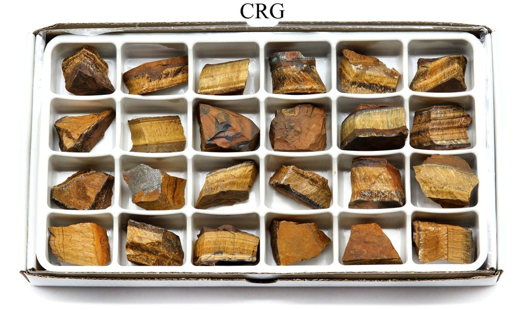 Rough Gold Tiger's Eye Boxed Flat (24 Pieces) (1.25 to 1.75 Inches) Bulk Wholesale Crystals Minerals Gemstones