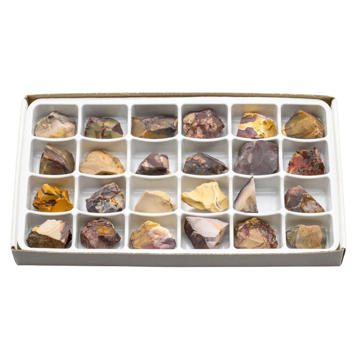 Rough Mookaite Boxed Flat (24 Pieces) (1 to 2 Inches) Bulk Wholesale Crystals Minerals Gemstones