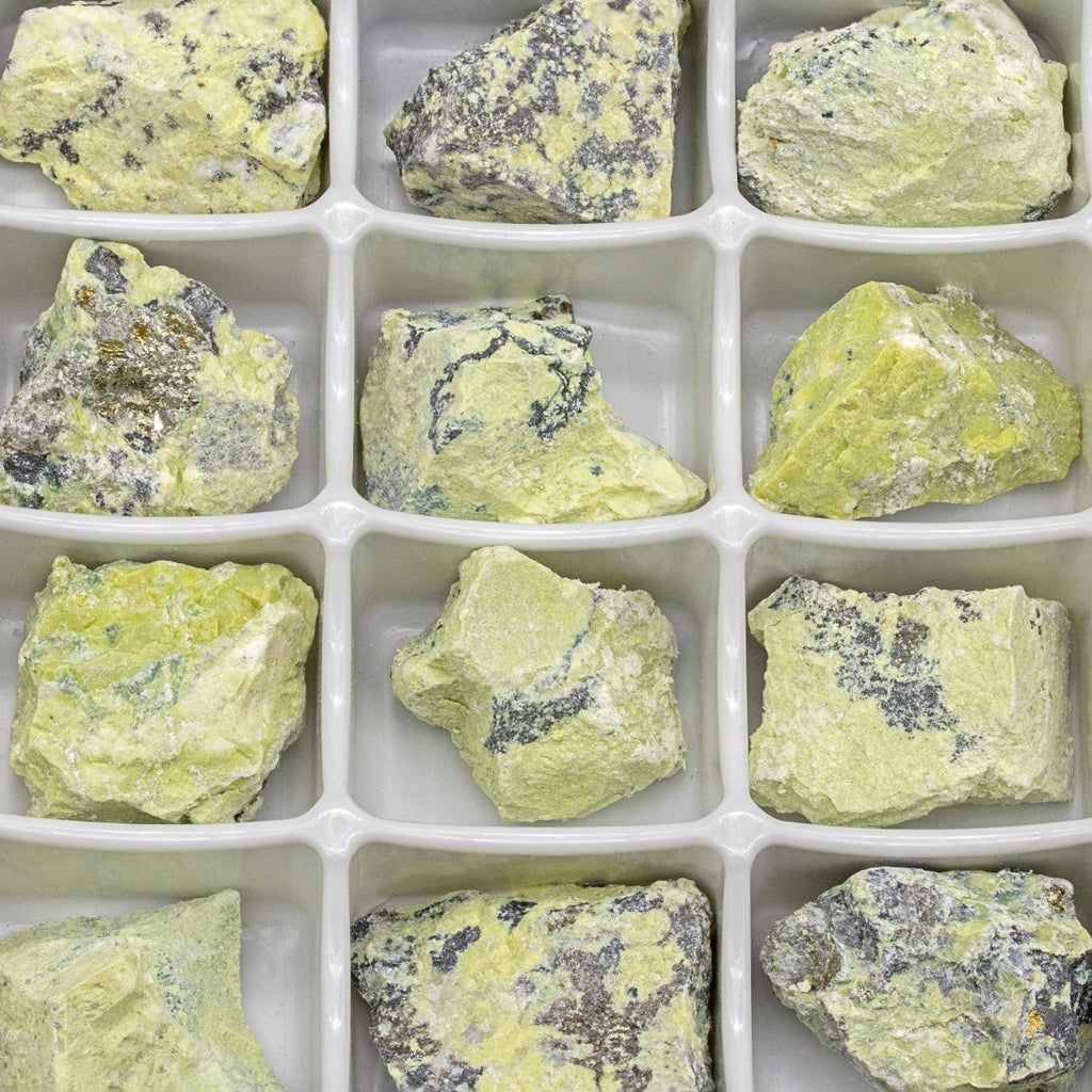 Rough Serpentine Boxed Flat (24 Pieces) (1 to 1.5 Inches) Bulk Wholesale Crystals Minerals Gemstones