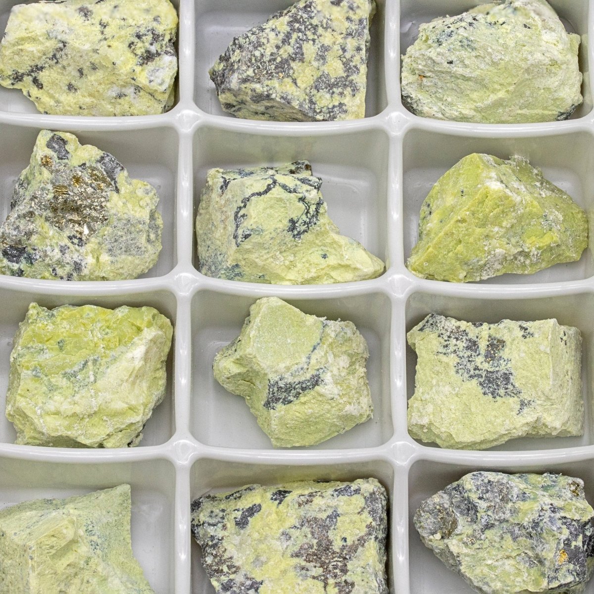 Rough Serpentine Boxed Flat (24 Pieces) (1 to 1.5 Inches) Bulk Wholesale Crystals Minerals Gemstones