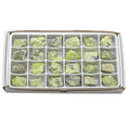 Rough Serpentine Boxed Flat (24 Pieces) (1 to 1.5 Inches) Bulk Wholesale Crystals Minerals Gemstones