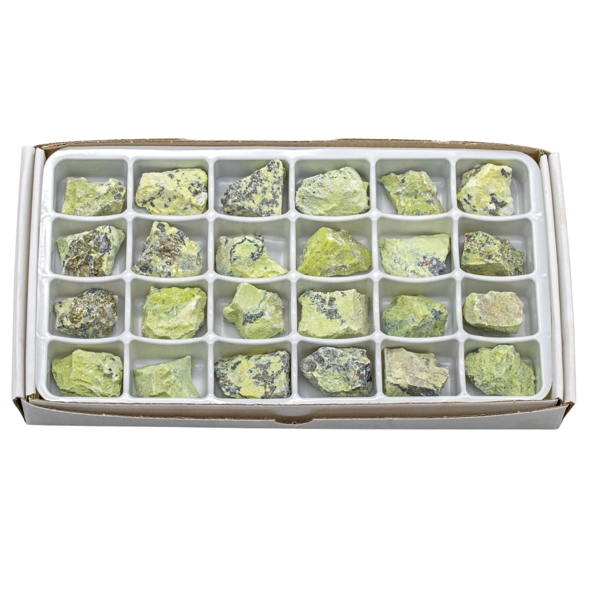 Rough Serpentine Boxed Flat (24 Pieces) (1 to 1.5 Inches) Bulk Wholesale Crystals Minerals Gemstones