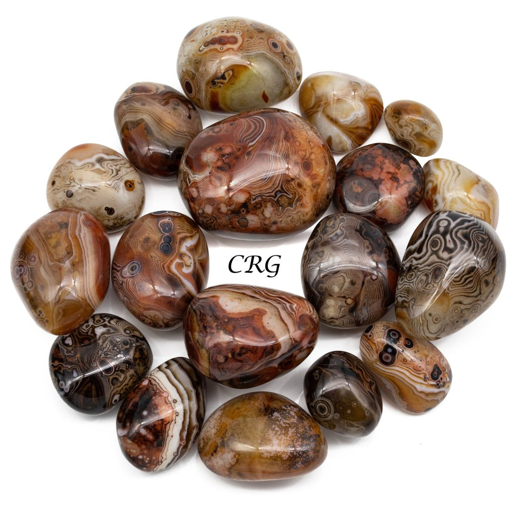 Tumbled Sardonyx Agate Eyes (1 inch)  4 OZ. LOT