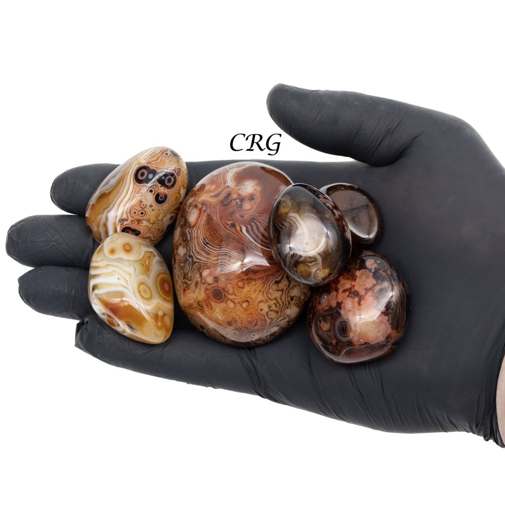 Tumbled Sardonyx Agate Eyes (1 inch)  4 OZ. LOT