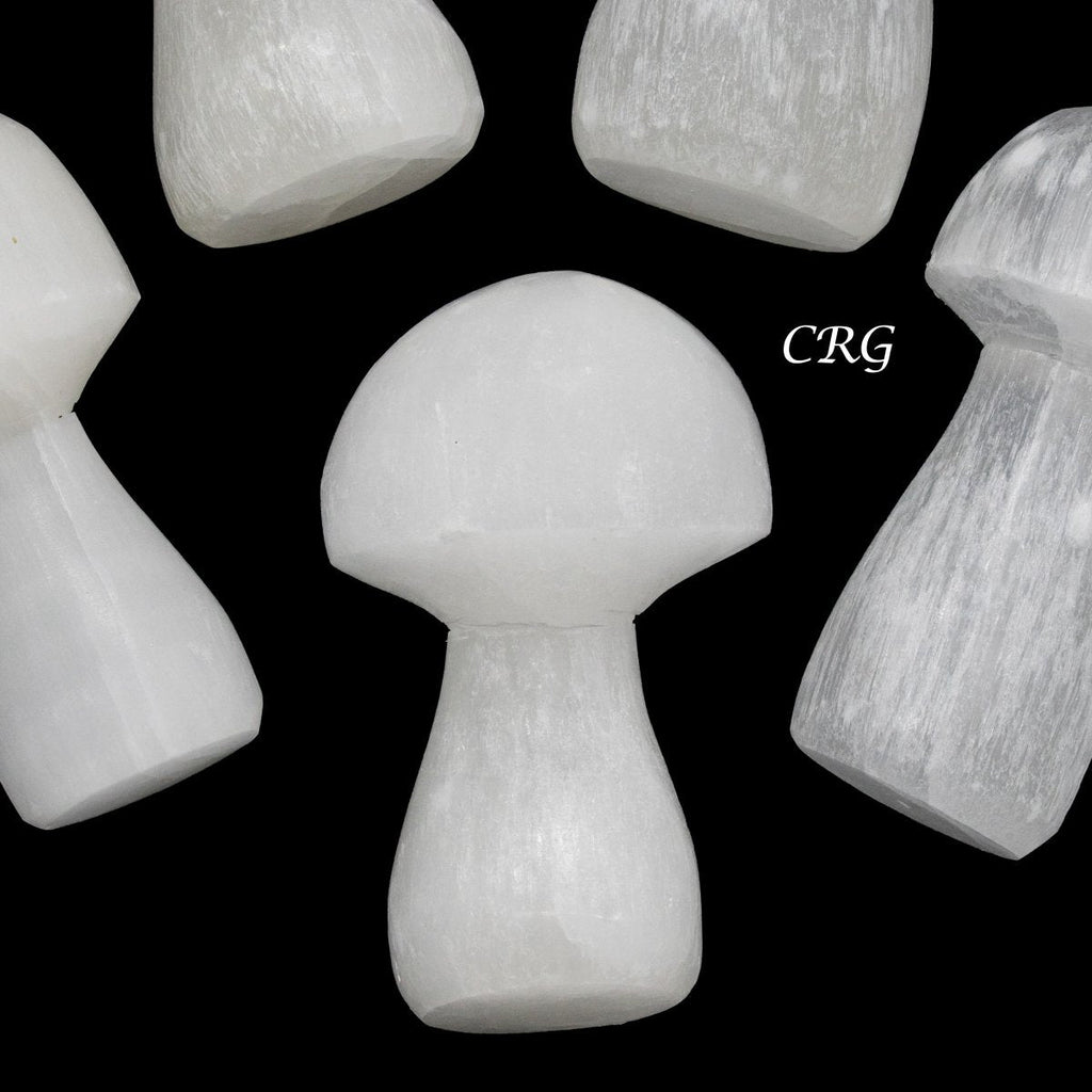 Selenite Mushroom 2 to 3 Inches (1 Piece)
